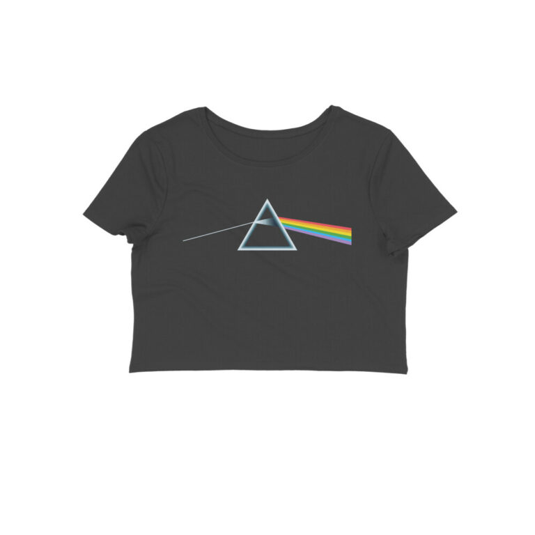 pink floyd crop top | minimal dsotm
