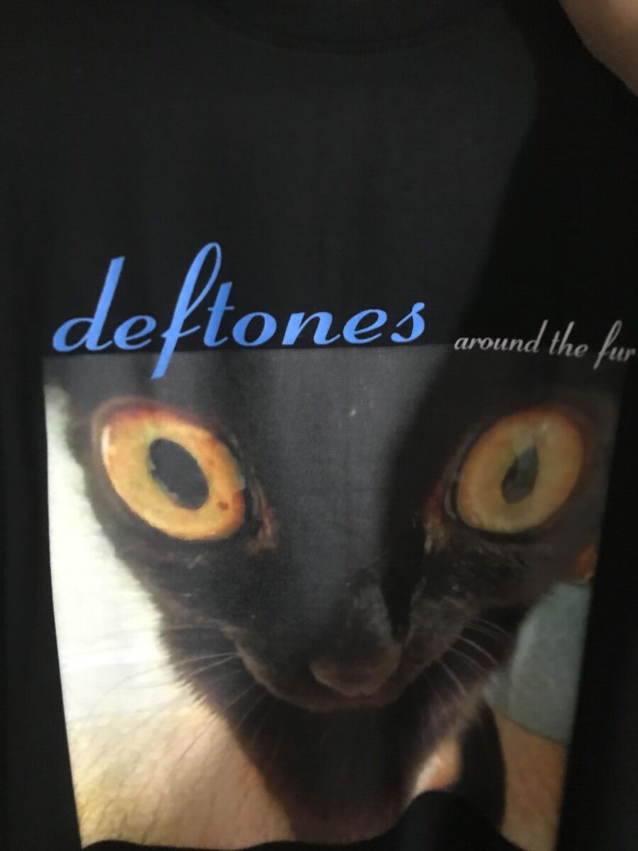deftones oversized t shirt | around the fur