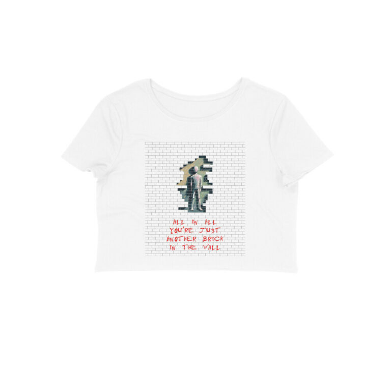 pink floyd crop top | another brick