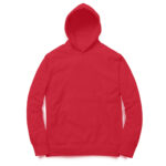 wittee solid hoddie | plain hoodie (no print)