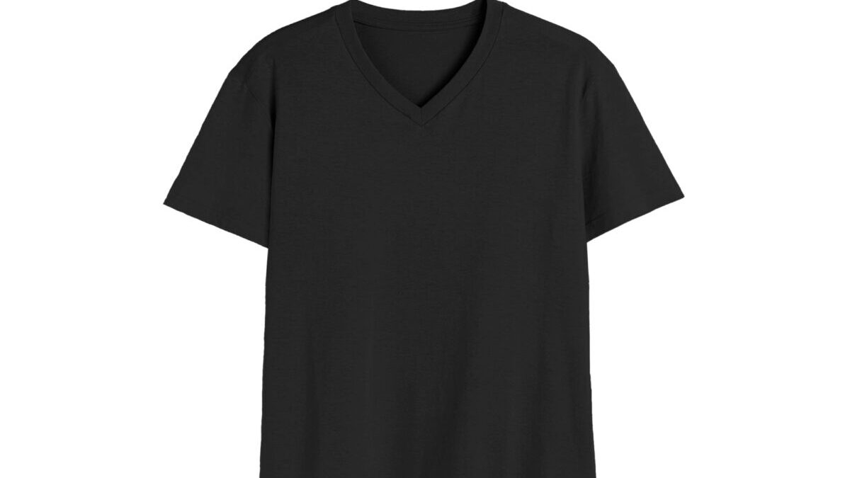 Feather V | V-Neck T-shirt [180 GSM][6 colors] - Wittee -
