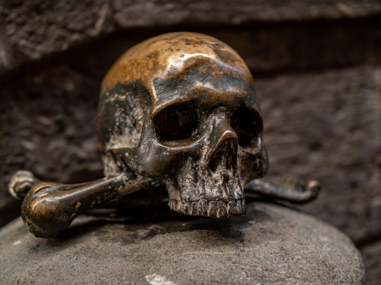 Ancient skull on stone