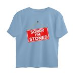 front 6a611b255bb57 baby blue s oversized t shirt.jpg