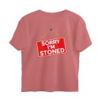 front 6a611b2608c15 dusty rose s oversized t shirt.jpg