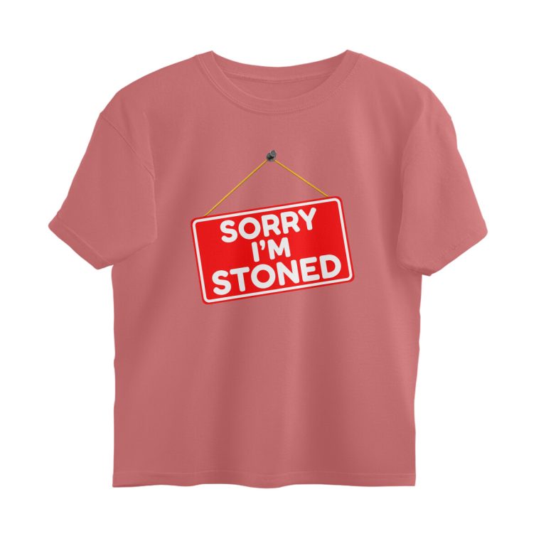 front 6a611b2608c15 dusty rose s oversized t shirt.jpg