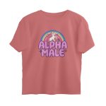front 6a7c8bb498d6f dusty rose s oversized t shirt.jpg